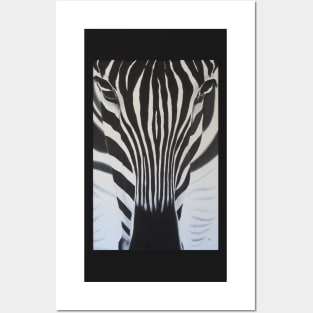 Zebra Posters and Art